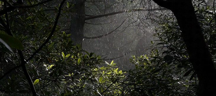 9b344648d78385e4eeeab5f75d3ceec2.gif