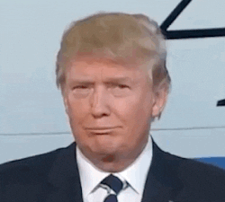 heh, funny, confused, joke, meme, trump, Donald Trump, politics, lol
