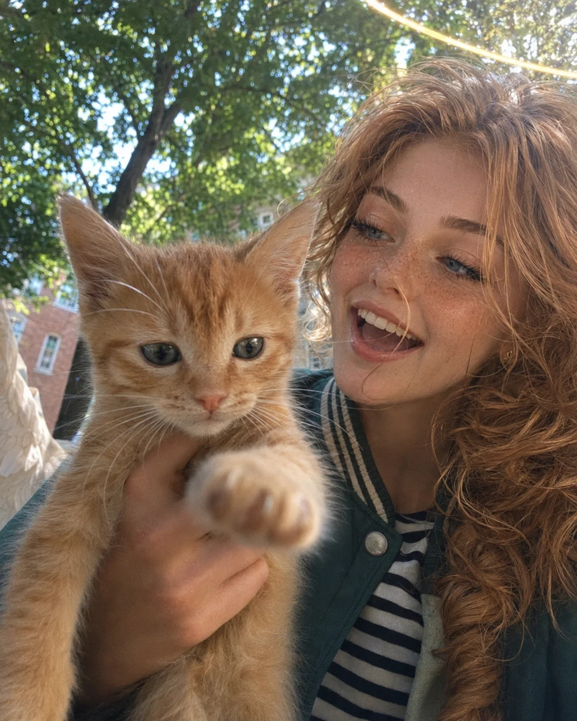 Eve finds a kitten