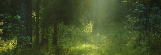 Untitled354-20240526140357.png