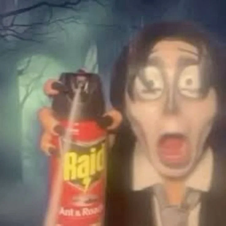 Spraying insect spray at the person
