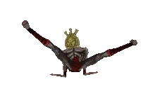 n'wah-dagoth-ur.gif