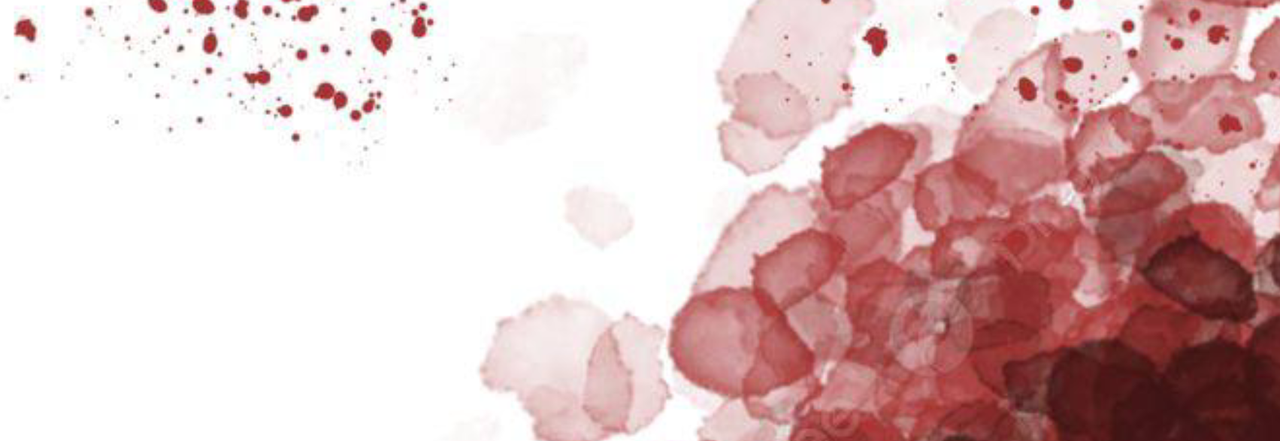 Untitled355-20241130012953.png
