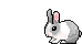 conejo-imagen-animada-0160