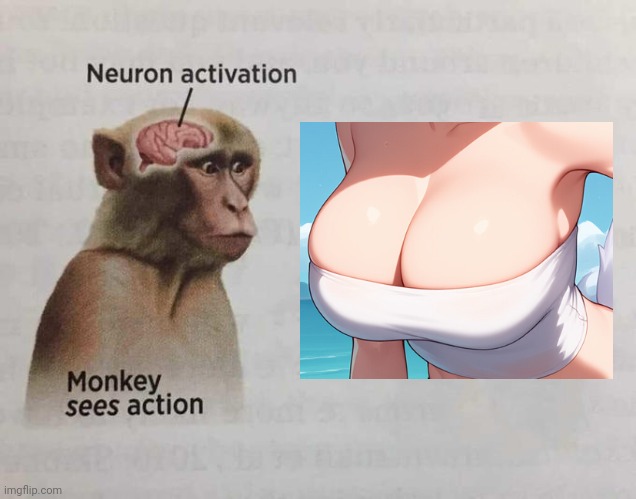 monkey