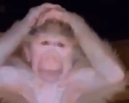 Then came a meme of a stressed out monkey