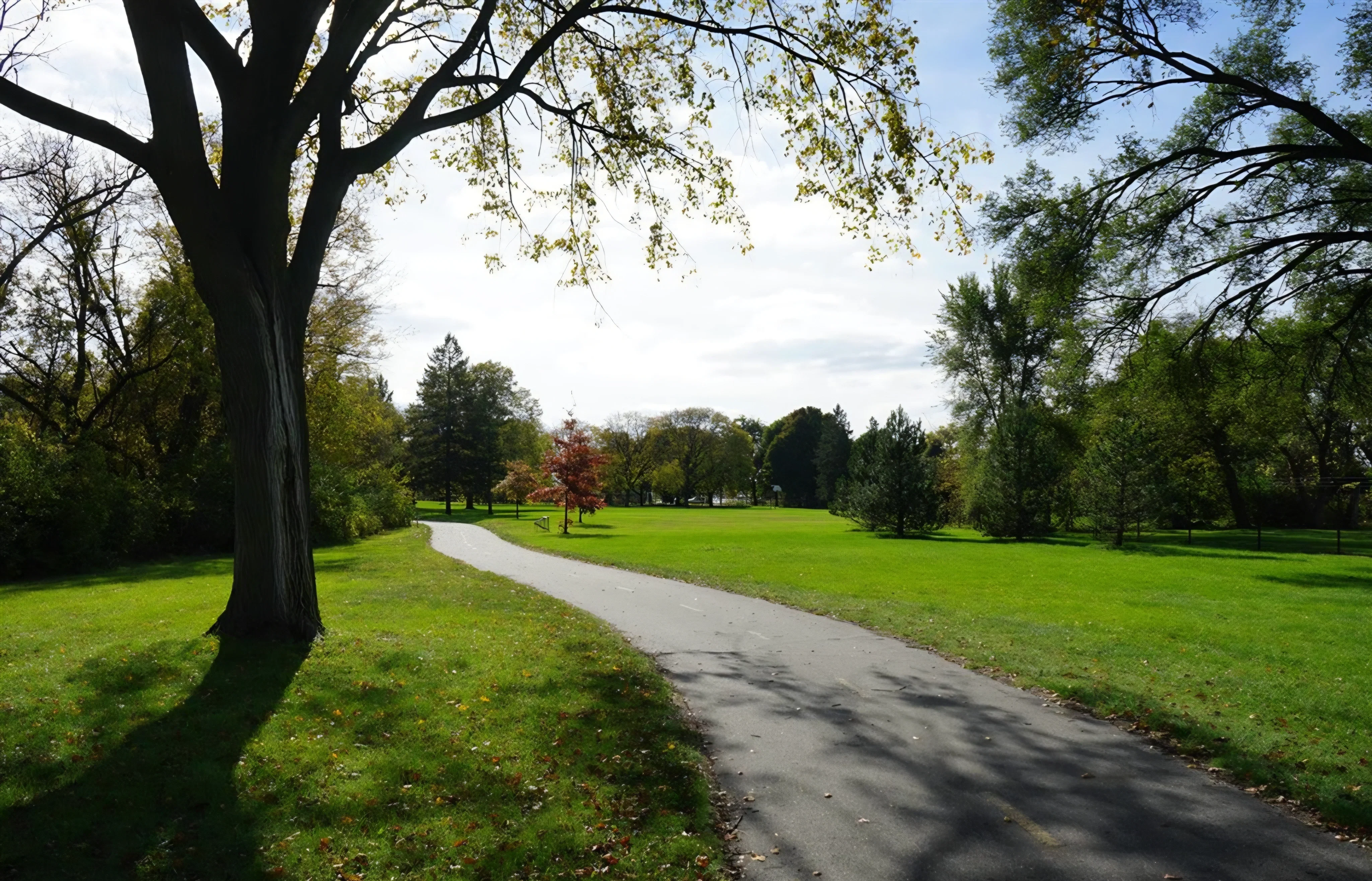 Generic-park