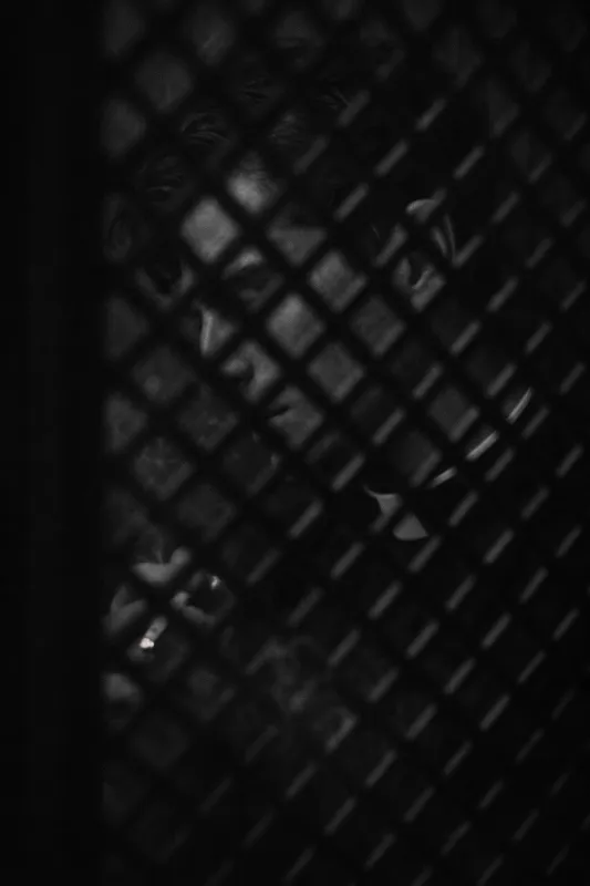Thomas's face through the confessional screen
