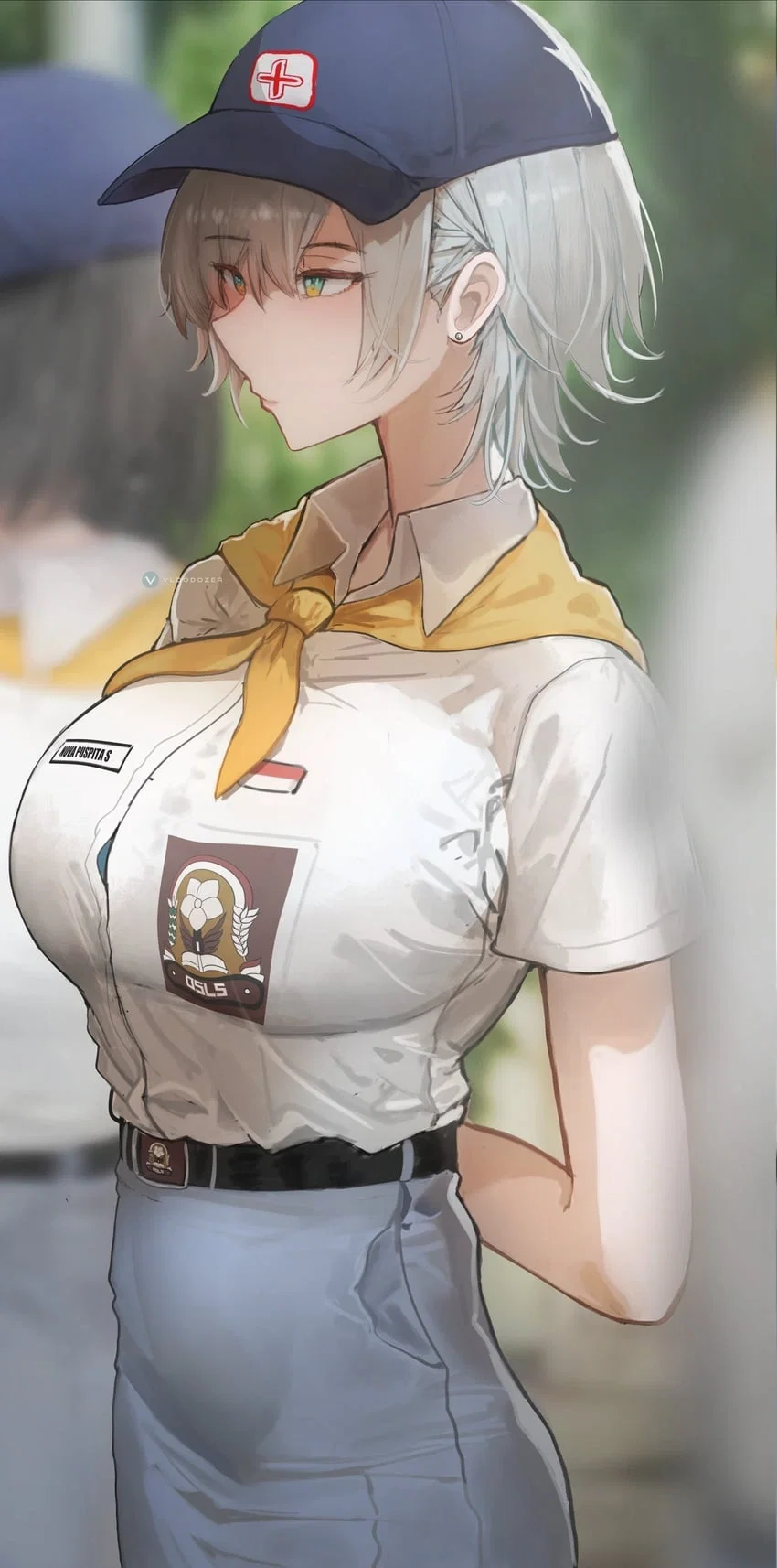 Nova1