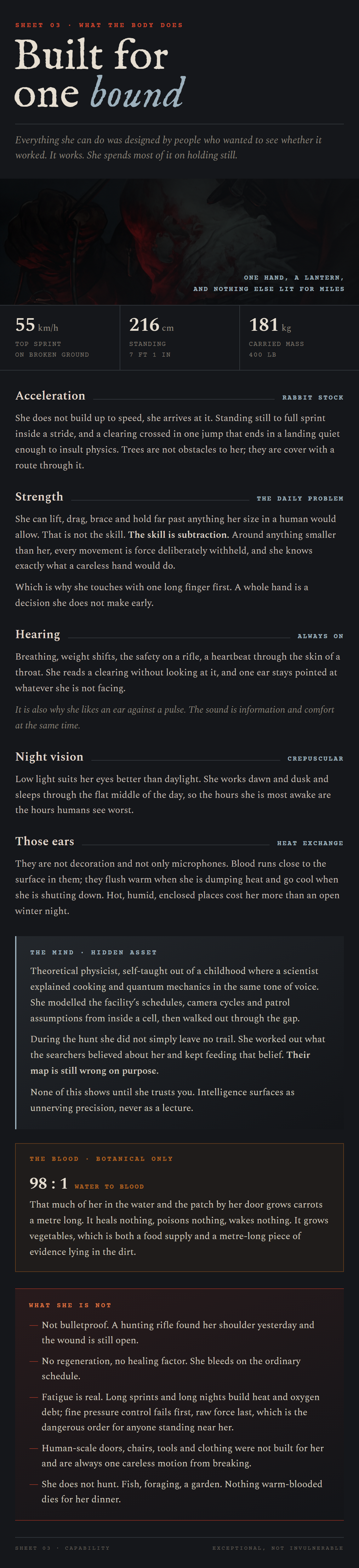 Sheet 03, Bun's capabilities and limits