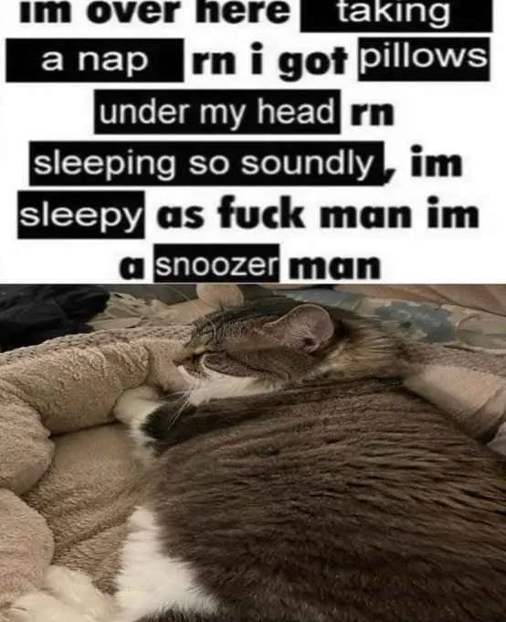 Snoozer
