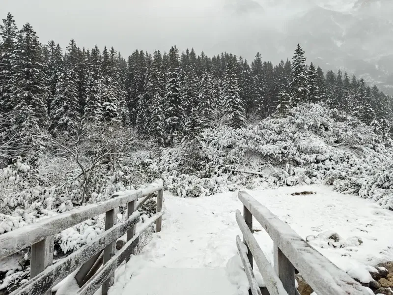 A snowy forest at the Tatra Mountains