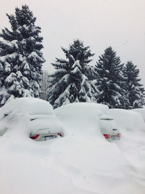 blizzard