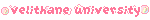 VCU blinkie