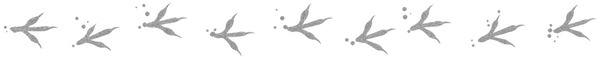 изображение_2026-10-10_000428782.webp