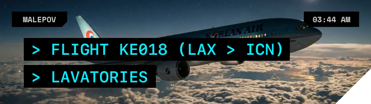 Flight KE018, Aisle near Lavatory, 03:44 AM