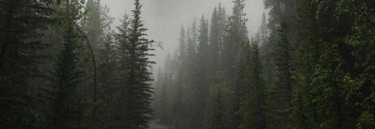Untitled352-20240718222116.png