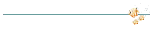 IMG-8710.webp