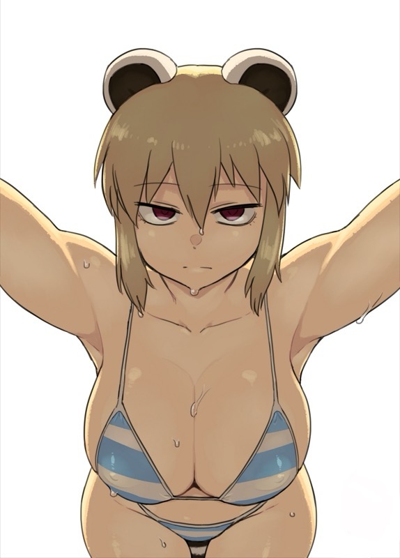 Araiguma_bikini