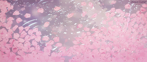 This may contain: pink flowers are seen through the rain on a window