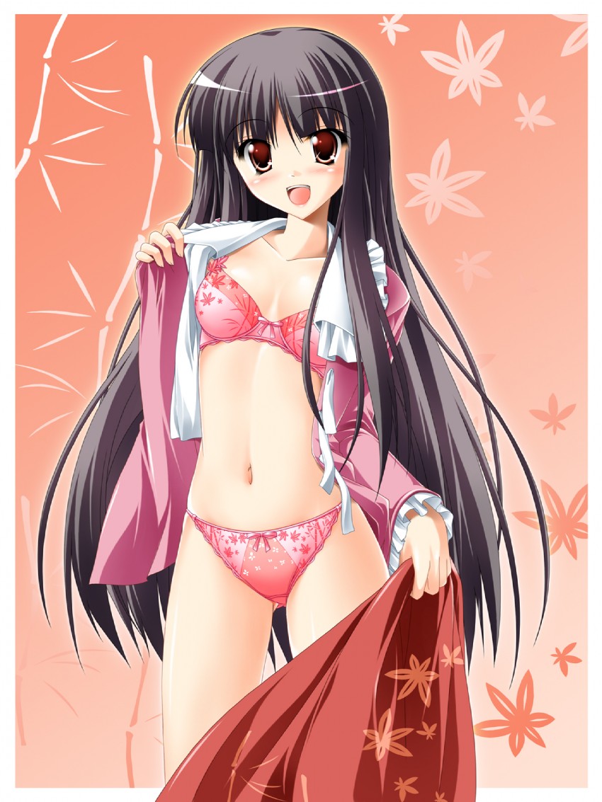 Kaguya2