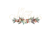 giphy