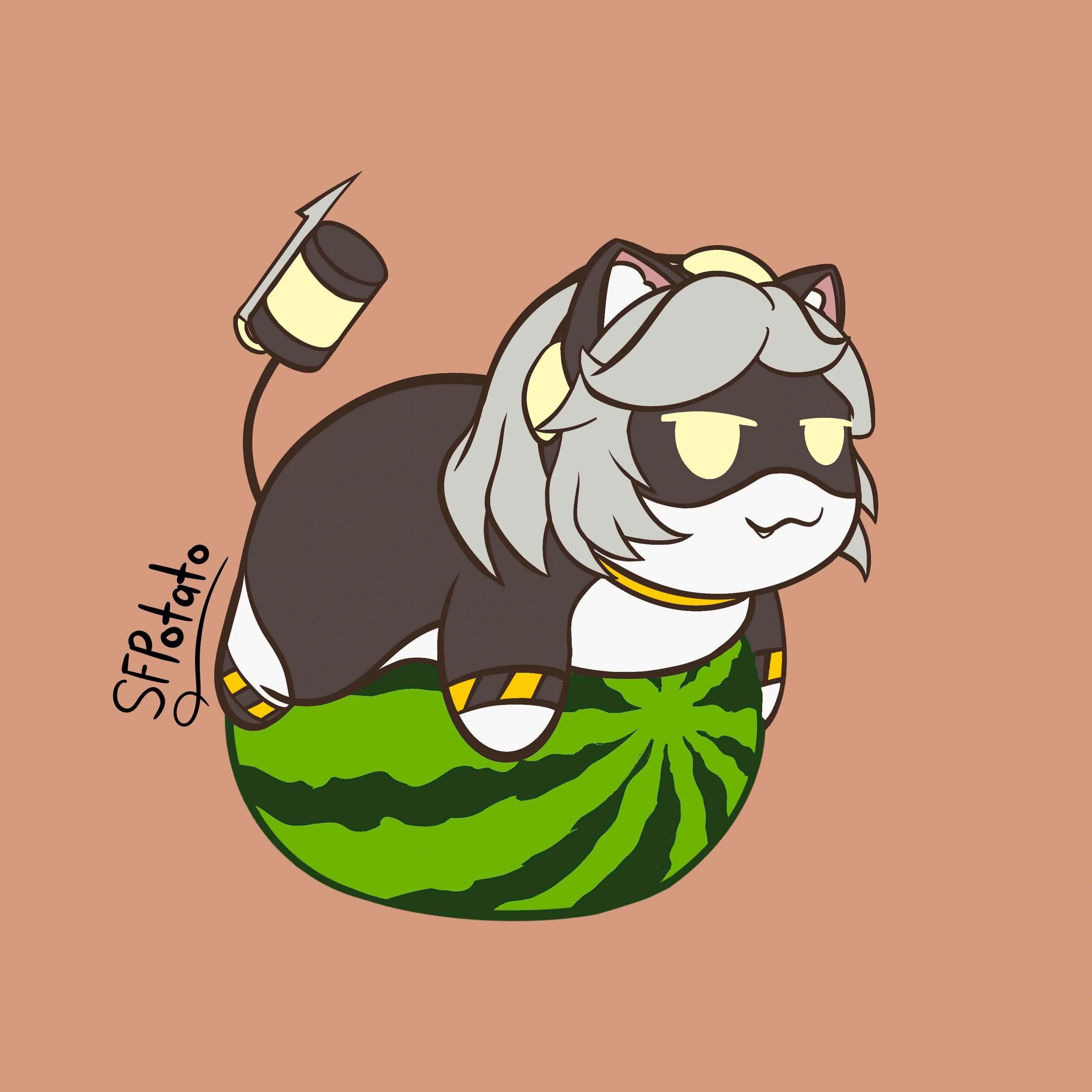 V:Melon