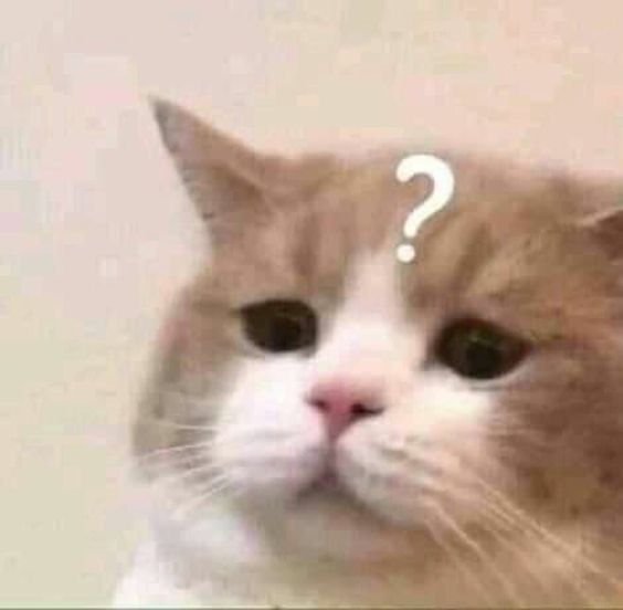 a reaction image of a confused cat with a question mark over its head