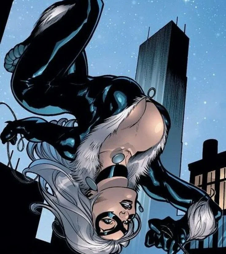 Black Cat leaping through the roofs/ usual heists