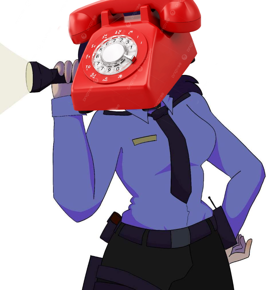 FlashGal