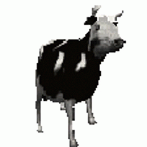 b1ca42cfcb5957e67aa89901c3ee3b6b.gif