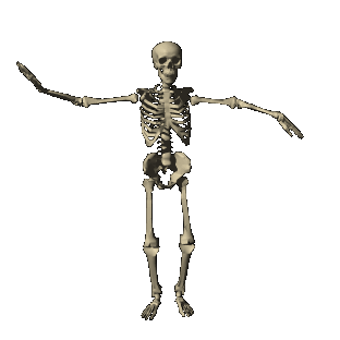 SkeletonDance