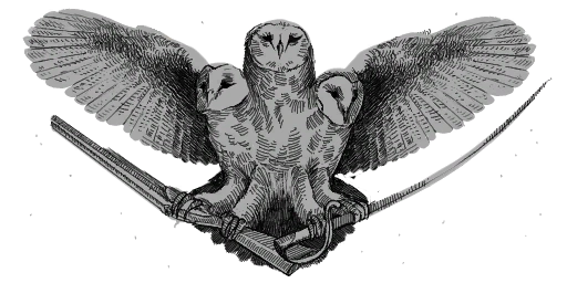 OwlOfProtection
