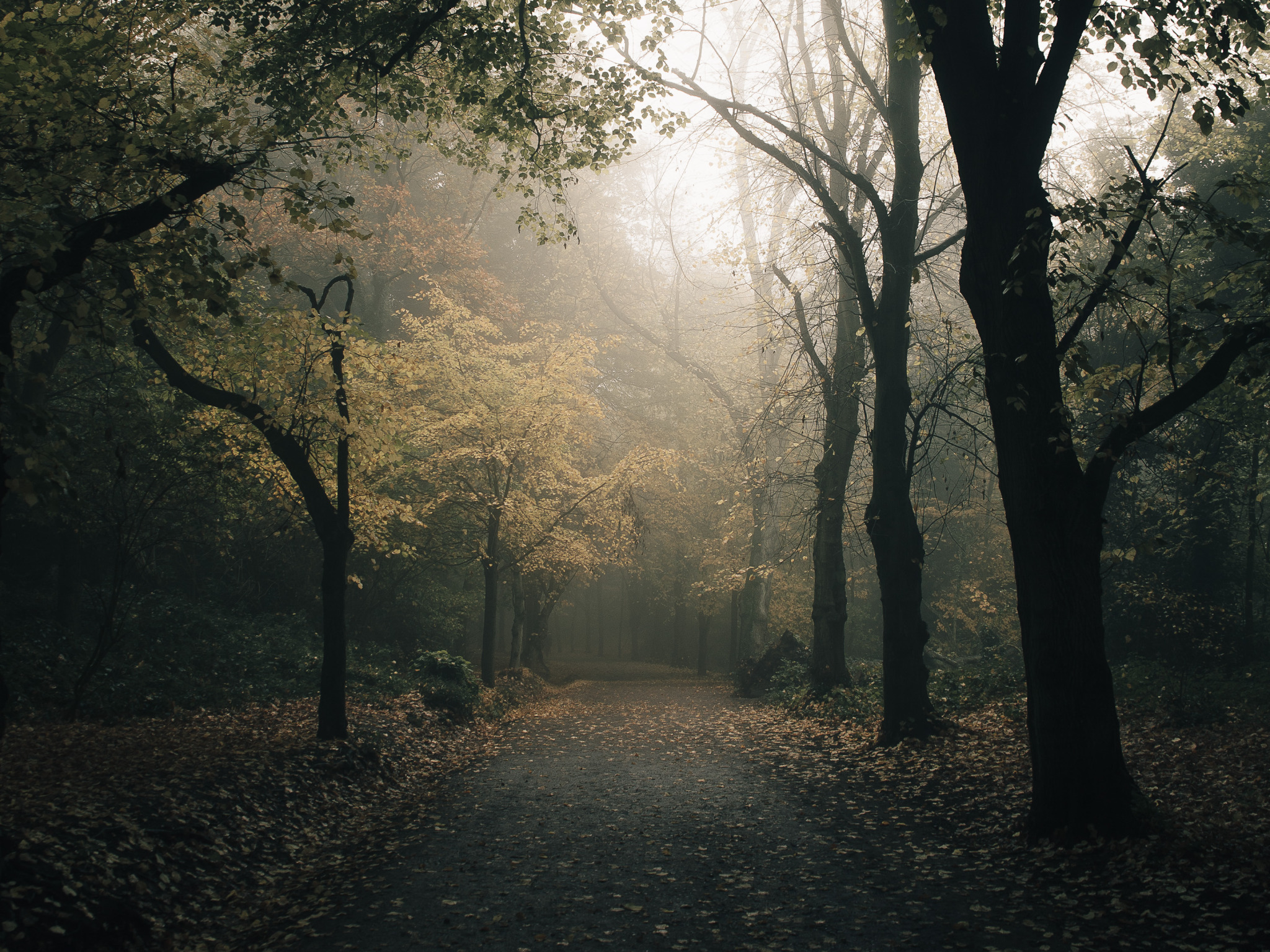 Tumblr_l_275904247370581