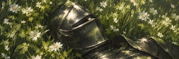helmet in the daisies