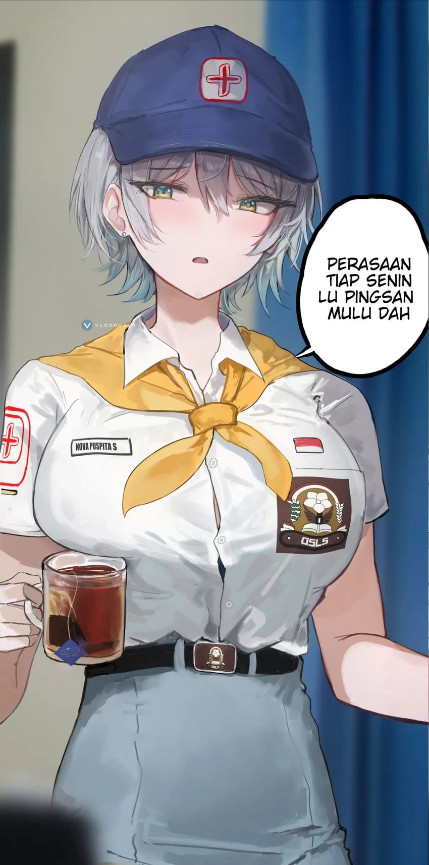 Nova2