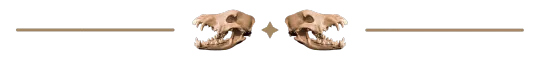 Animal Skull Divider
