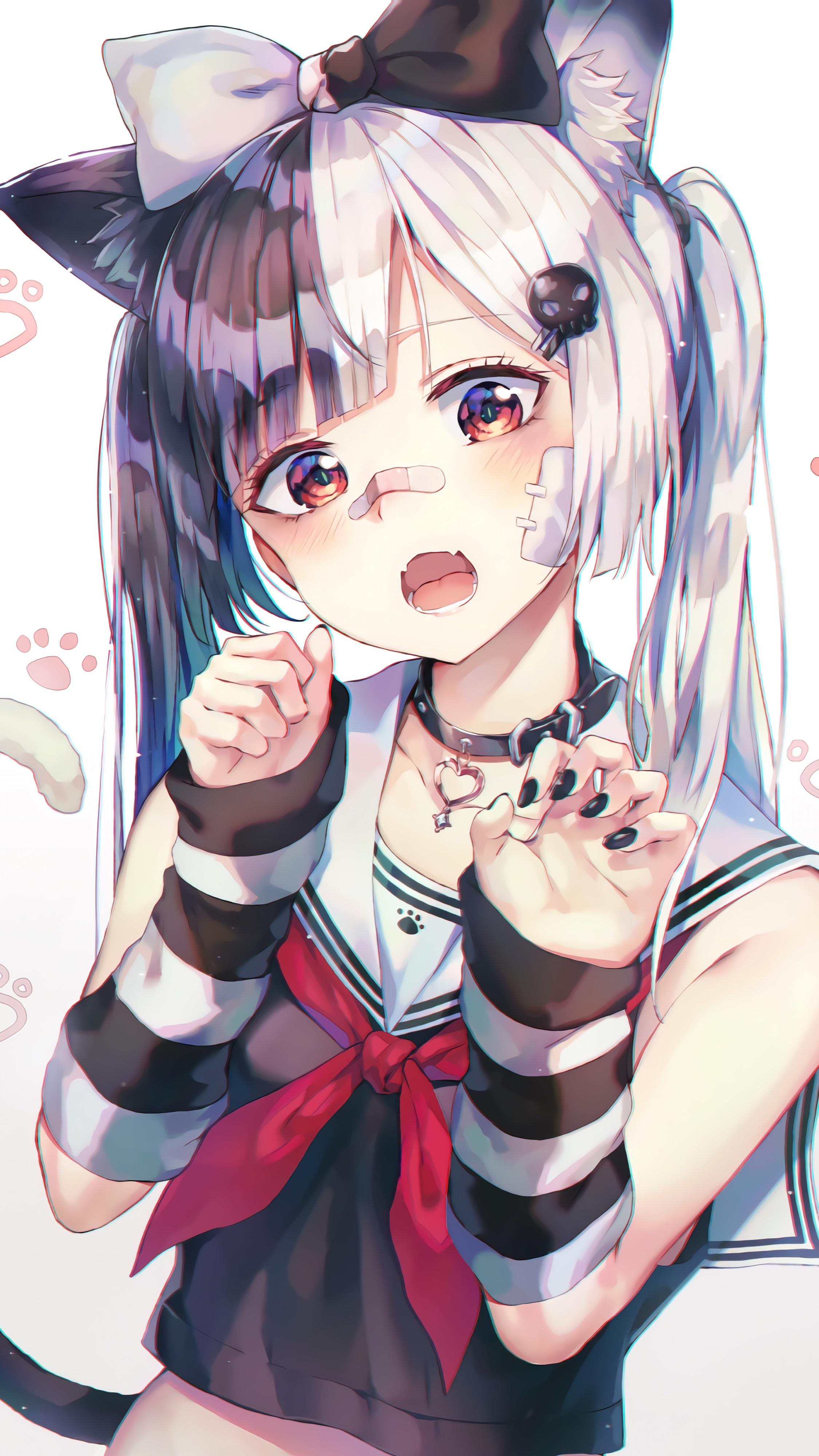 Coming Real Soon Nyaa...