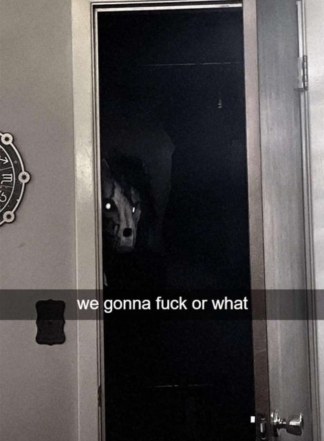 we-gonna-fuck-or-what.jpg