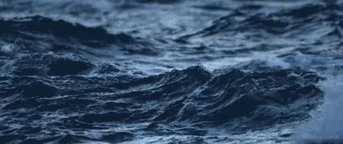 Ocean