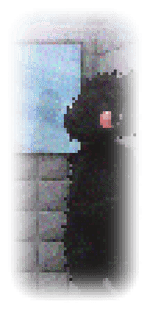 scav