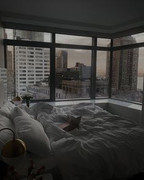 Passionate night