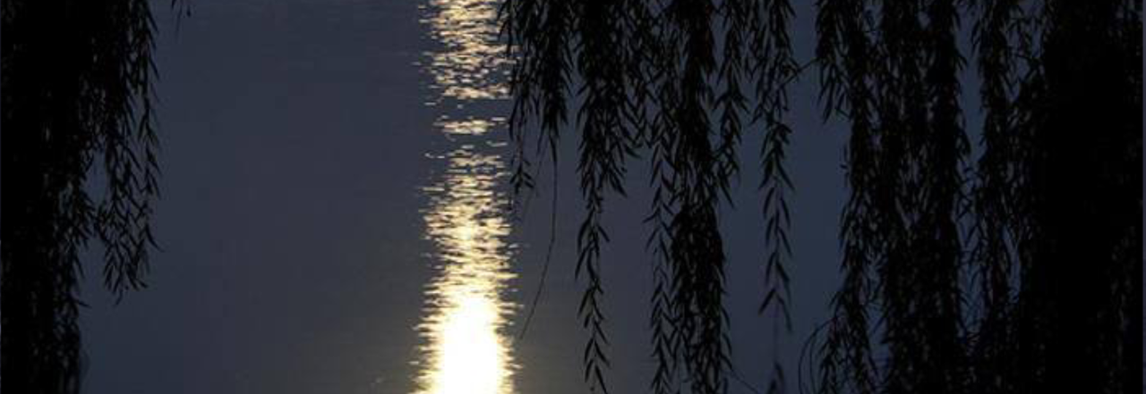 Untitled354-20240628181604.png