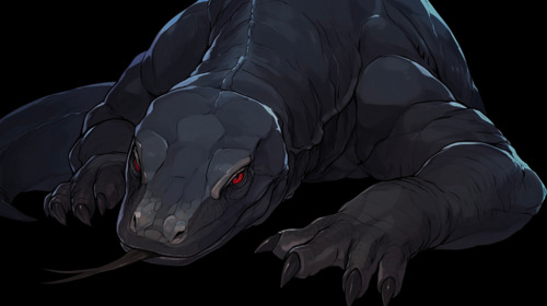 lizard