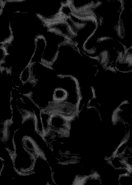 distort