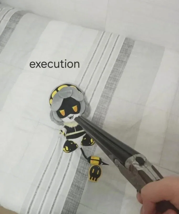 V:Execution