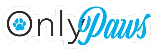 https://i.ibb.co/NntrZryr/Untitled-August-17-2026-at-12-08-52.png