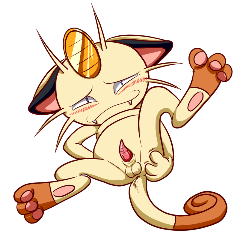 f9c4766cdeb1e23dc469f1c843fe8f925f303035.png