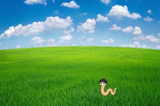 A picture of a fair skin boy's head on a pink worm body and in a grassy terrain with a blue sky.