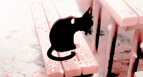 This may contain: a black cat sitting on top of a wooden bench